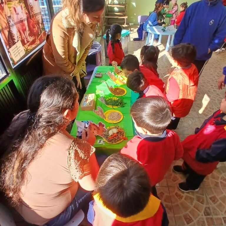 Proyecto de Aula «Animales Sorprendentes» – Pre-Básica